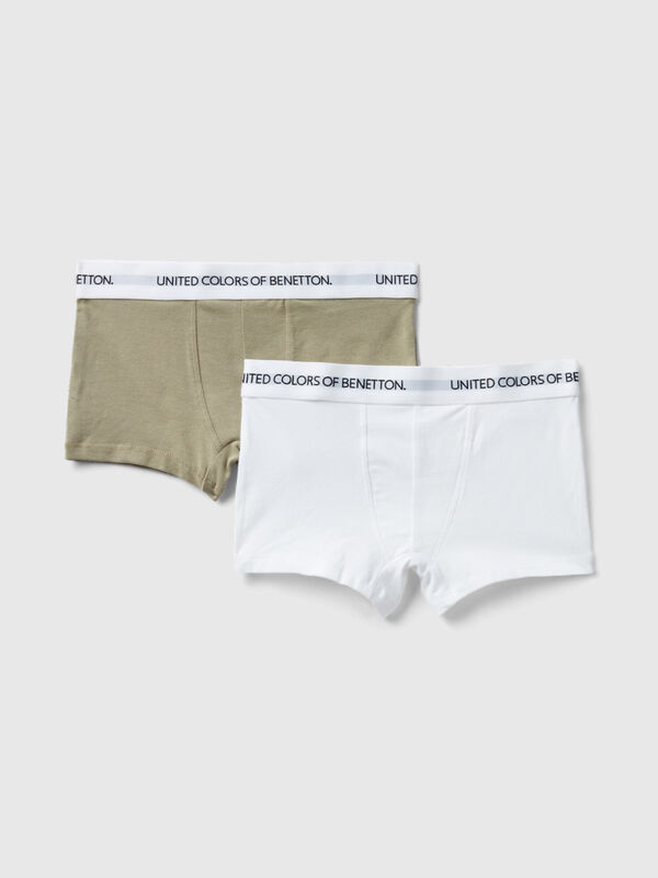 Junior Boys' Underwear Undercolors Collection