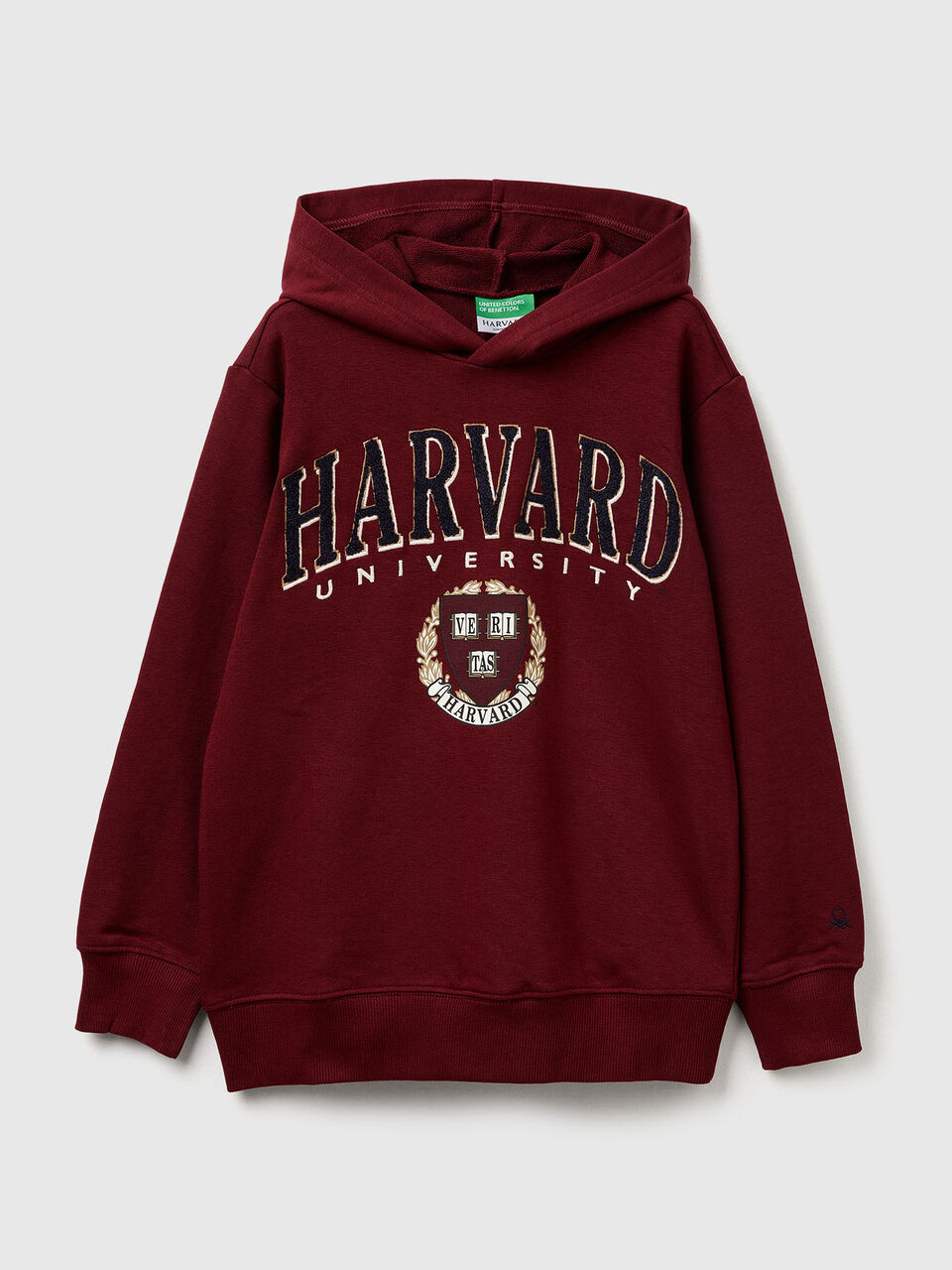 SWEATER W/HOOD Junior Boy image number null